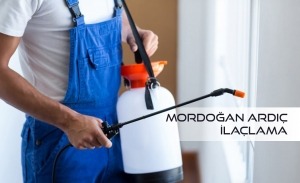 Mordoğan Ardıç İlaçlama